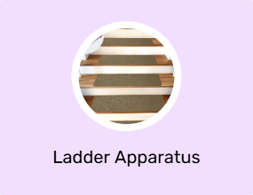 Ladder Apparatus