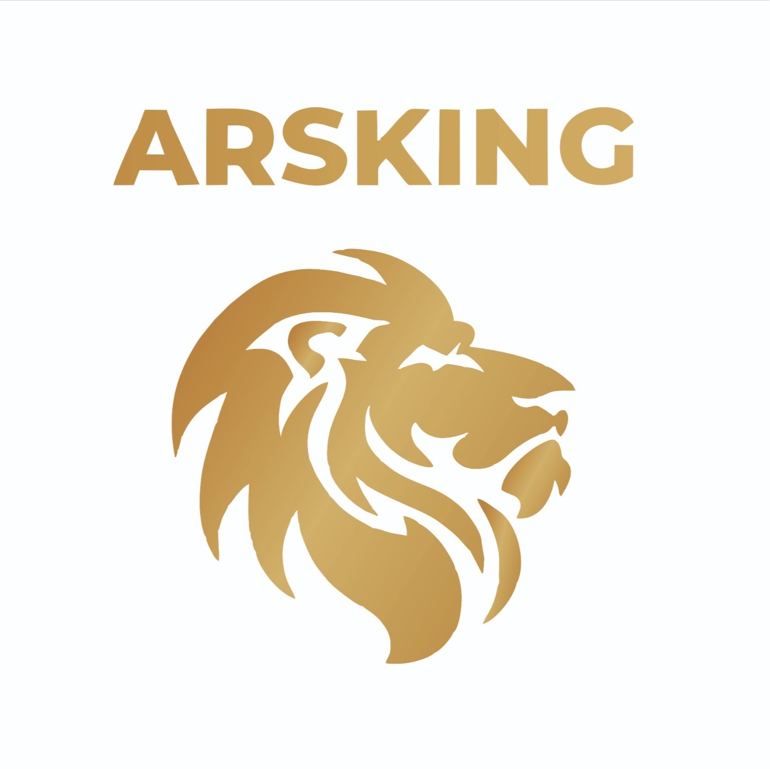 ARSKİNG logo