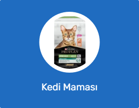 Kedi Maması