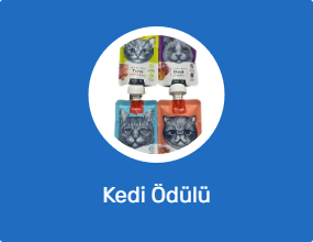 Kedi Ödülü