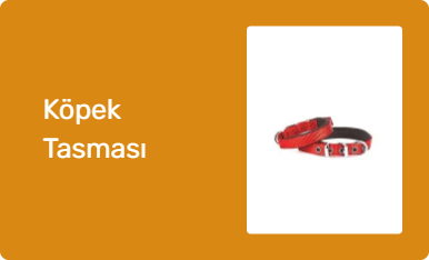 Köpek Tasması