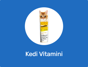 Kedi Vitamini