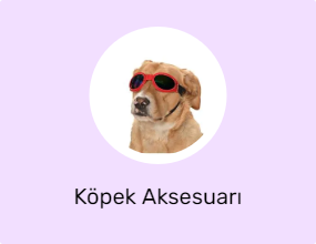 Köpek Aksesuarı