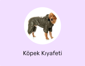 Köpek Kıyafeti