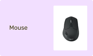 Mouse