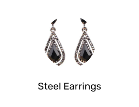 Steel Earrings