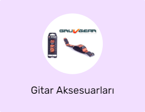 Gitar Aksesuarları
