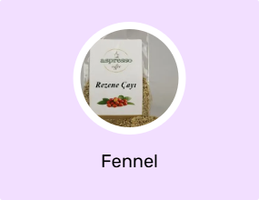Fennel