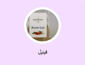 فينيل