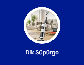 Dik Süpürge
