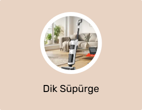 Dik Süpürge