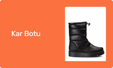 Kar Botu