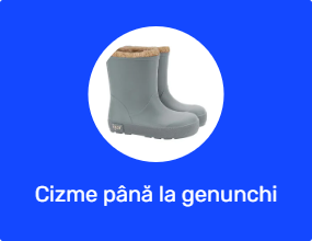 Cizme până la genunchi