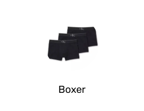 Boxer