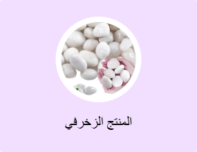 المنتج الزخرفي