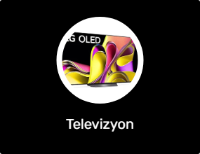 Televizyon