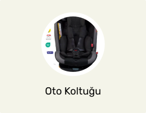 Oto Koltuğu