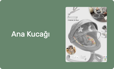 Ana Kucağı