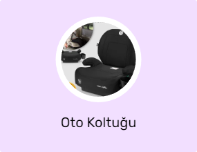 Oto Koltuğu