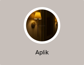 Aplik