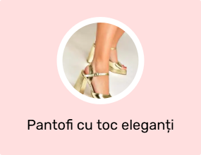 Pantofi cu toc