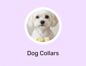 Dog Collars