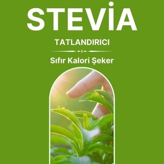 STEVİA TÜRKİYE UĞUR DÖNMEZ