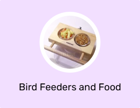 Bird Feeders and Food Boxes