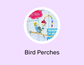 Bird Perches