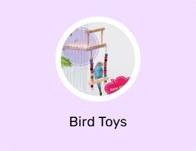 Bird Toys