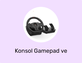 Konsol Gamepad ve Joystick