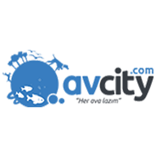 Avcity logo