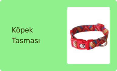 Köpek Tasması