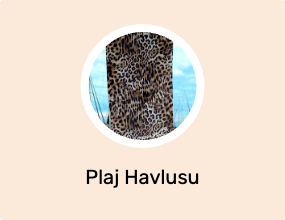 Plaj Havlusu