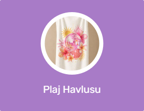Plaj Havlusu