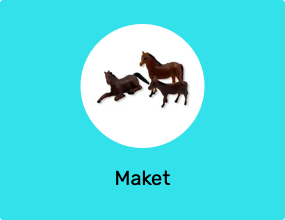 Maket