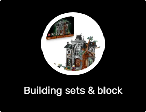 Building sets & block toys