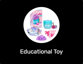Educational Toy