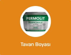Tavan Boyası