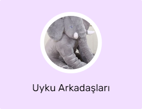 Uyku Arkadaşları