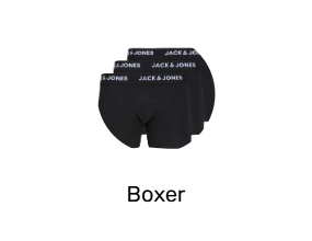 Boxer