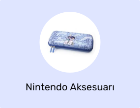 Nintendo Aksesuarı
