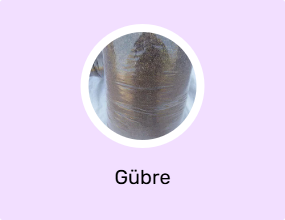 Gübre