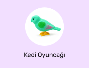 Kedi Oyuncağı