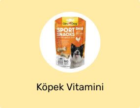 Köpek Vitamini