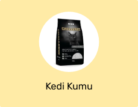 Kedi Kumu