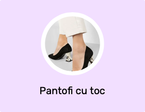 Pantofi cu toc