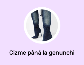 Cizme până la genunchi