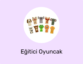 Eğitici Oyuncak