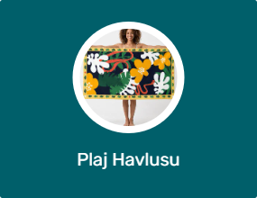 Plaj Havlusu